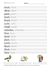 DSS_2S_Bu_c_Nr_08.pdf